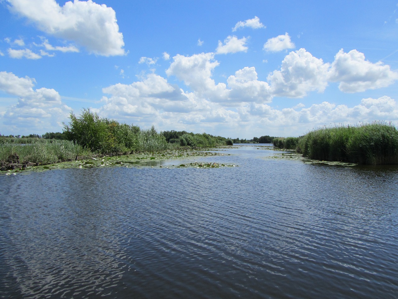 Nieuwkoopse plassen Nieuwkoopse plassen